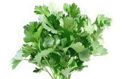 maintanos_4yourhealth.gr