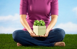 Organ-donation_4yourhealth.gr-medical-catalog-iatrikos-katalogos