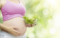 Pregnancy-Diet_4yourhealth.gr_ιατρικός_κατάλογος_υγείας
