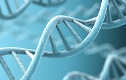 gonidio_karkinou_4yourhealth.gr_katalogos-iatrwn-farmakeion-ygeias-eyeksias