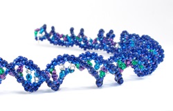 gonidioma_gonidio_4yourhealth.gr-ιατρικός_κατάλογος_υγείας_ευεξίας_αναζήτηση_γιατρών_εφημερίες_νοσοκομείων_φαρμακείων