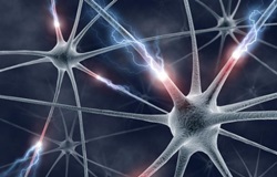 kyttara_egkefalou_4yourhealth.gr-ιατρικός_κατάλογος_υγείας_ευεξίας_αναζήτηση_γιατρών_εφημερίες_νοσοκομείων_φαρμακείων