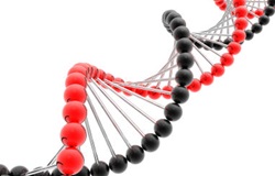 diafora_apo_zwa_arthra-ygeias_eyeksias_efimereyonta-farmakeia-nosokomeia_anazitisi-iatrwn_4yourhealth.gr