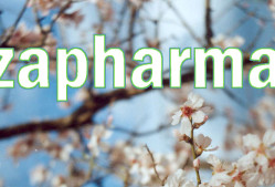 Λόζα Αικατερίνη