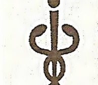 Χρυσουλάκης Σπυρίδων – Αλλεργιολόγος Κυψέλη