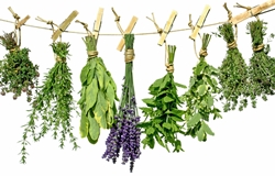 enteka_votana_gia_ygeia_eyeksia-4yourhealth.gr-iatrikos-katalogos-pliresteros-katalogos-giatron-farmakeiwn-elladas