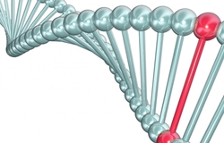 axilleios-pterna-karkinou