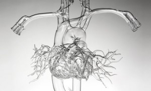 “Νόσος της βιτρίνας”